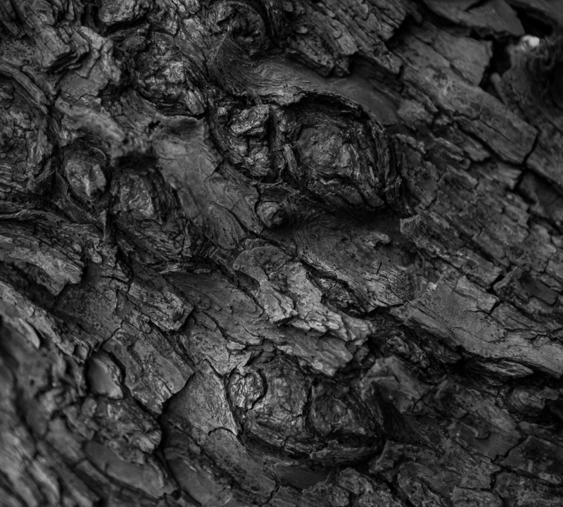 Himalayan Shilajit