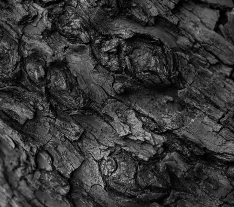 Himalayan Shilajit