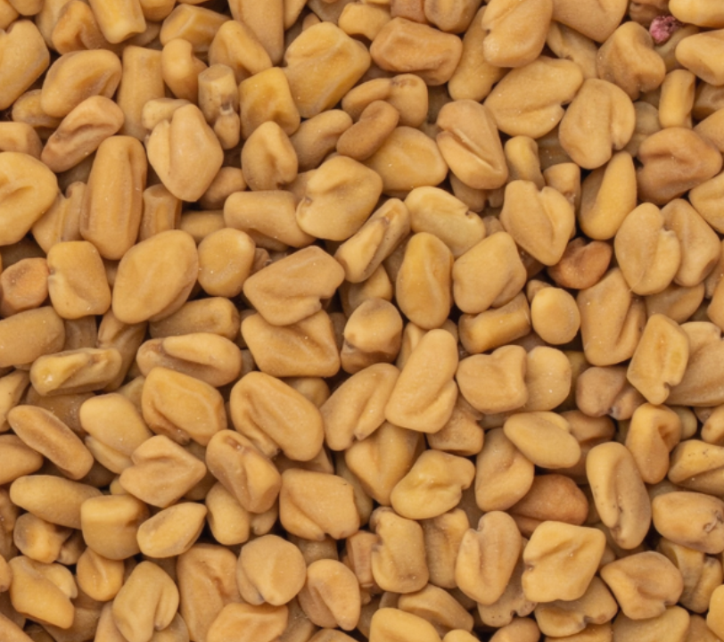 TESTOSURGE® FENUGREEK EXTRACT