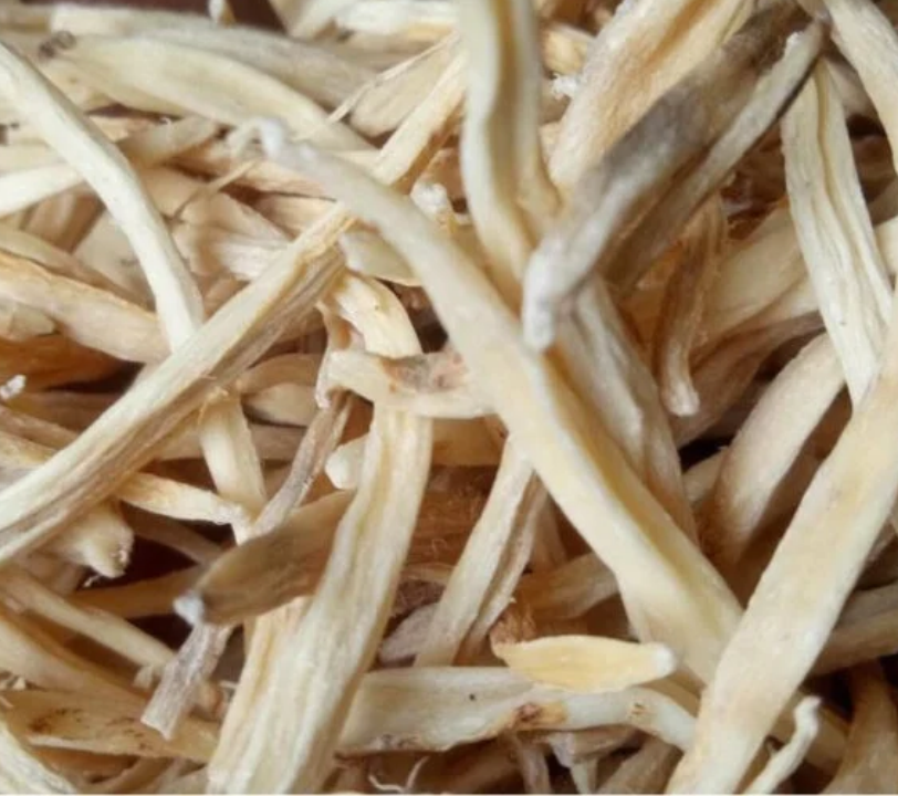 Safed Musli