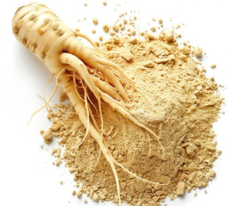 PANAX GINSENG