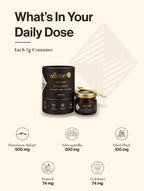 Shilajit Gold Resin - B