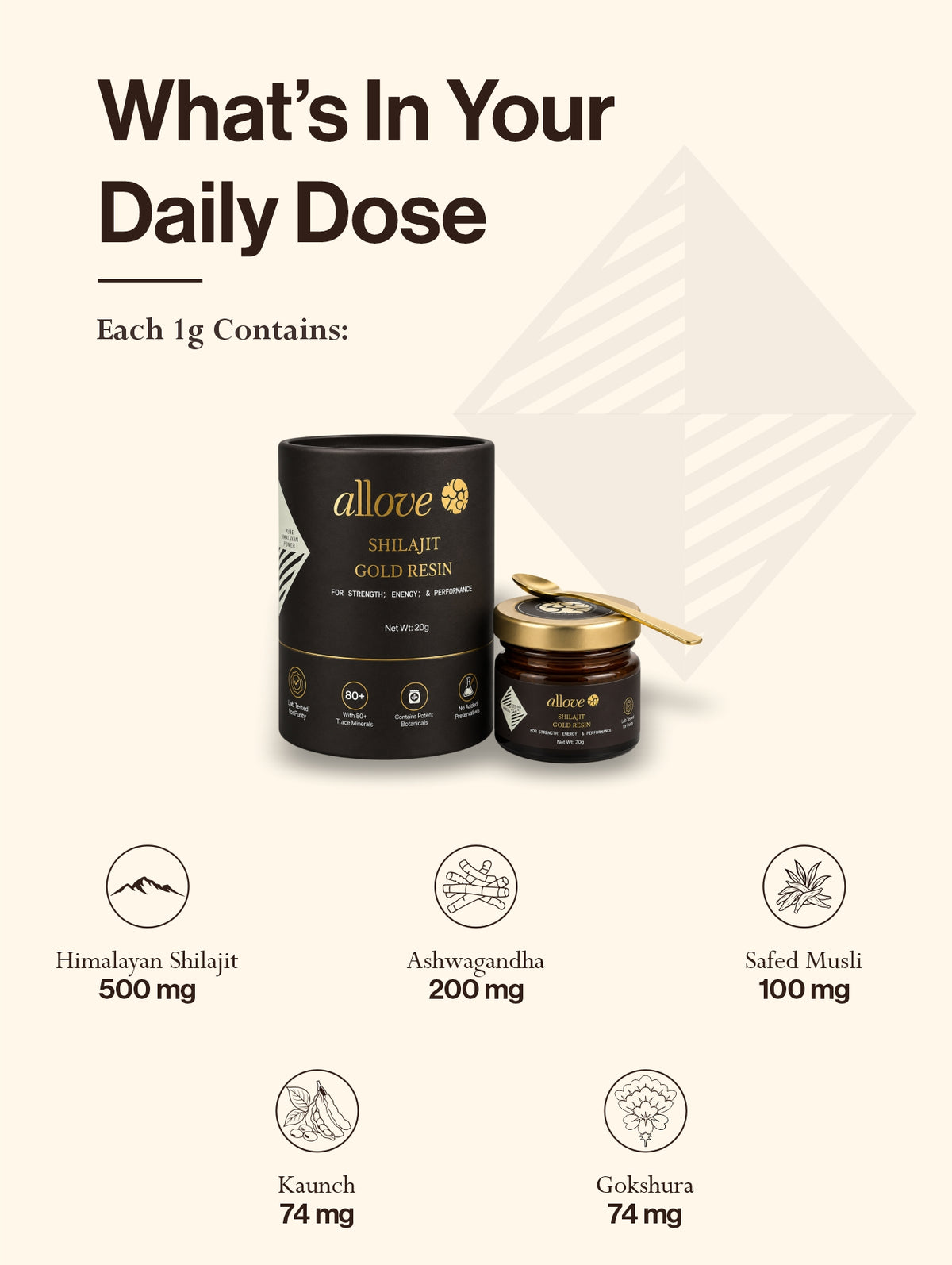 Shilajit Gold Resin - B