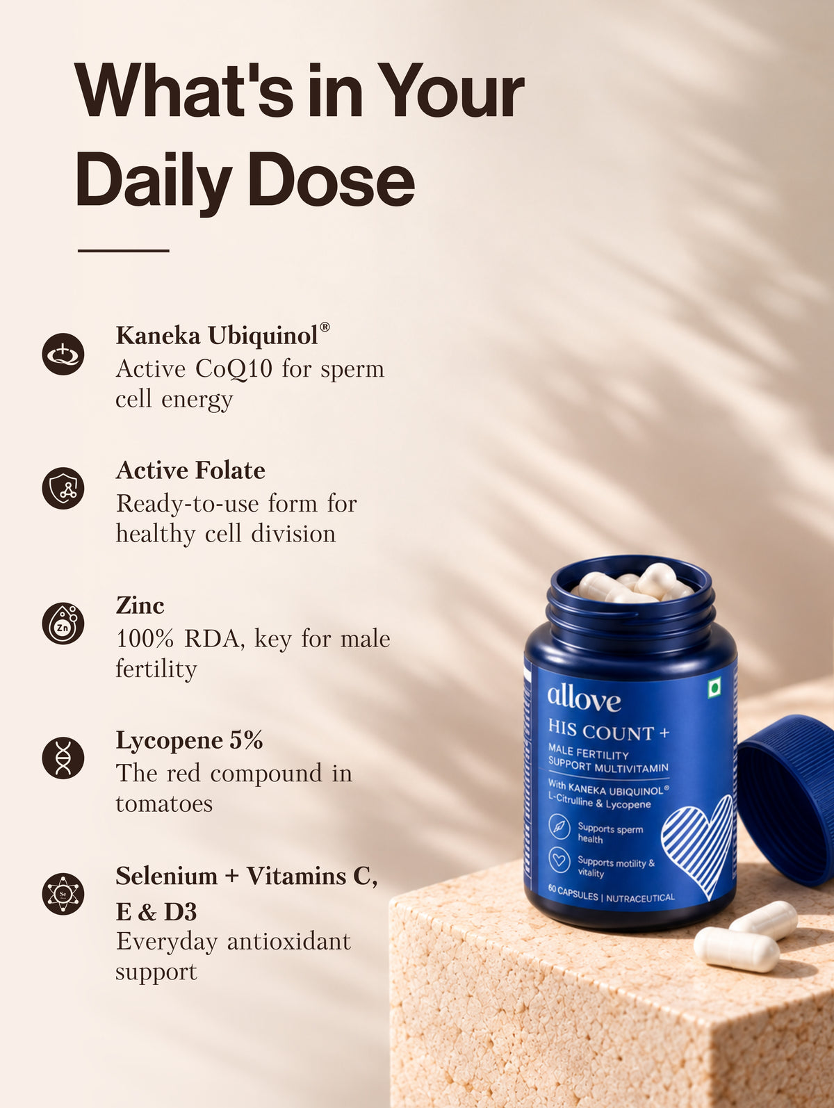 His Count+ Male Fertility Support Multivitamin - B