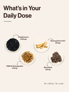 Shilajit Gummies With KSM-66 Ashwagandha - Mixed Berry
