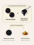 Shilajit Gummies With Nano Gold - Tamarind