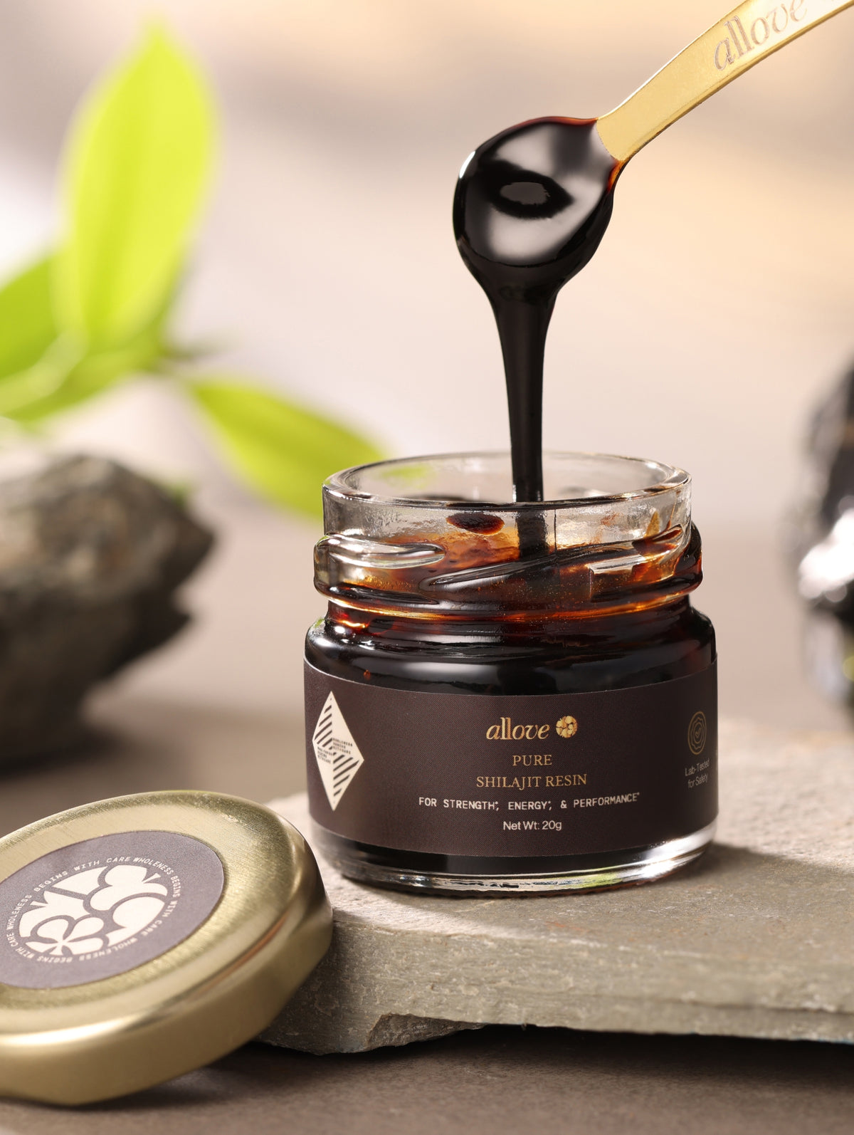 Shilajit Pure Resin - B