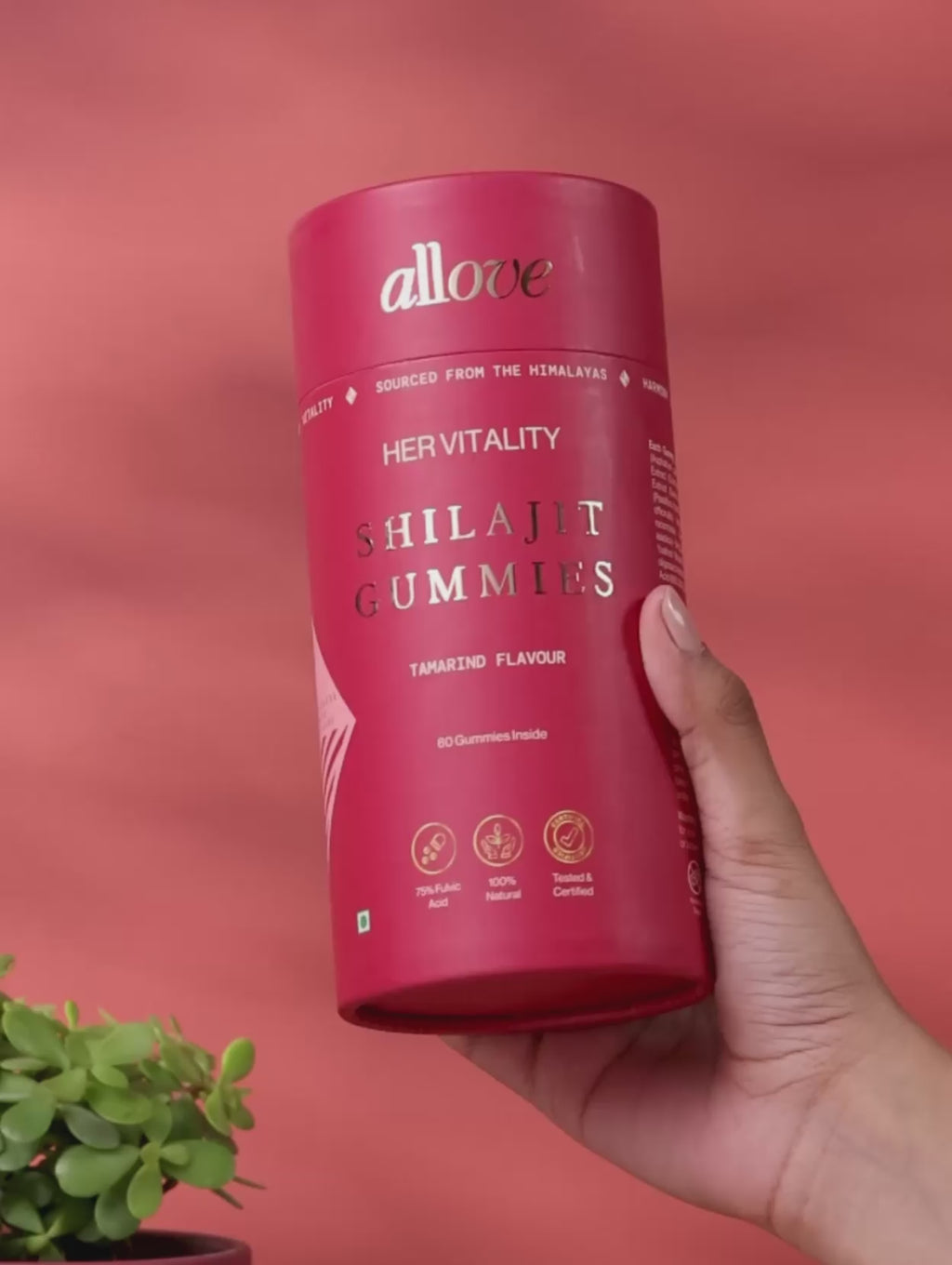 Her Vitality Shilajit Gummies - B
